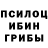Галлюциногенные грибы Cubensis Incynder