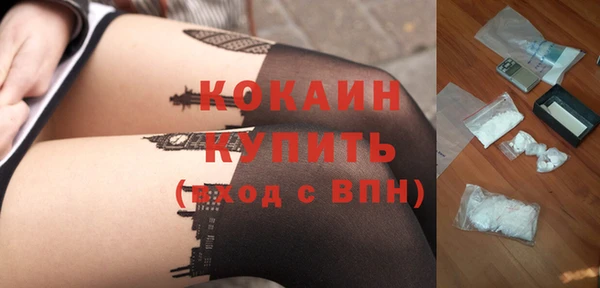 мдпв Няндома