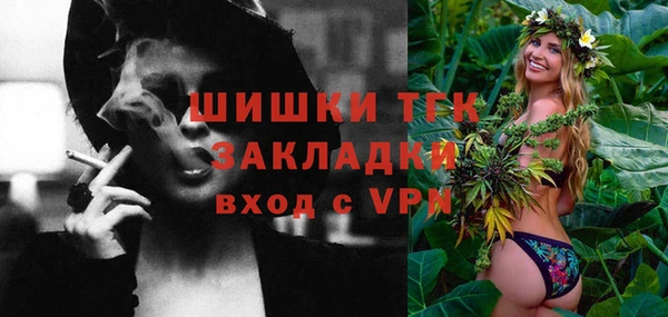 мдпв Няндома