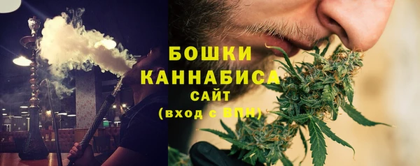 прущие грибы Абинск