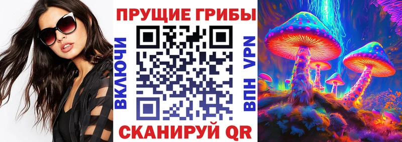 Галлюциногенные грибы Psilocybine cubensis  наркошоп  Янаул 